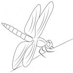 Dragonfly Coloring Pages Line Art