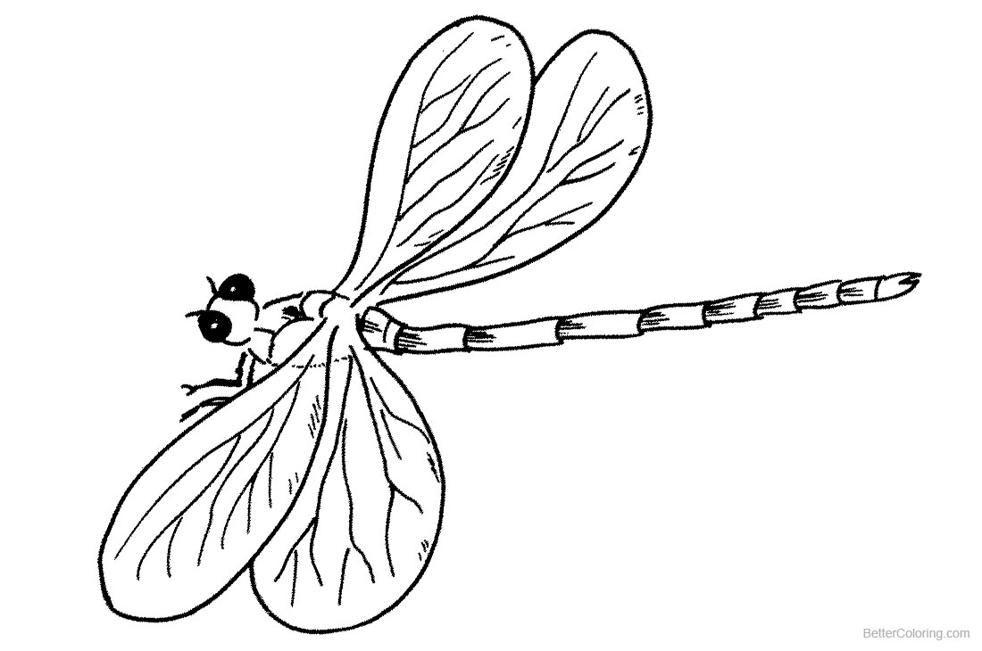Dragonfly Coloring Pages Line Drawing printable for free