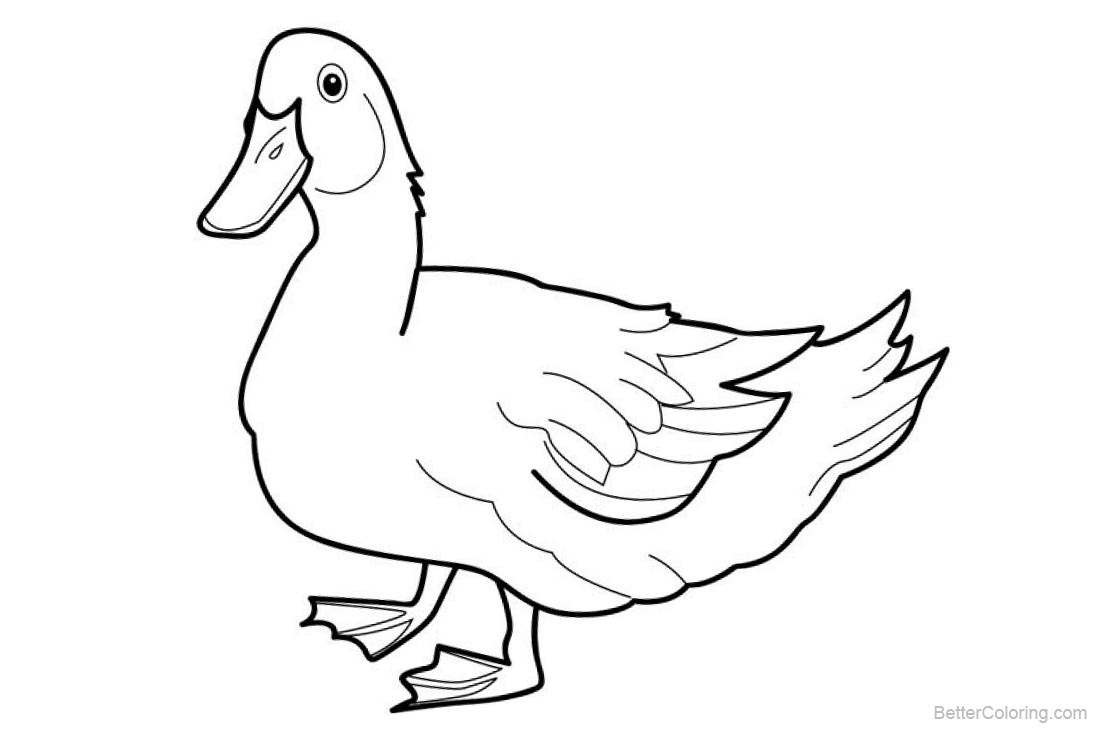 Duck Coloring Pages printable for free