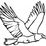 Eagle Coloring Pages Flying Eagle Lineart