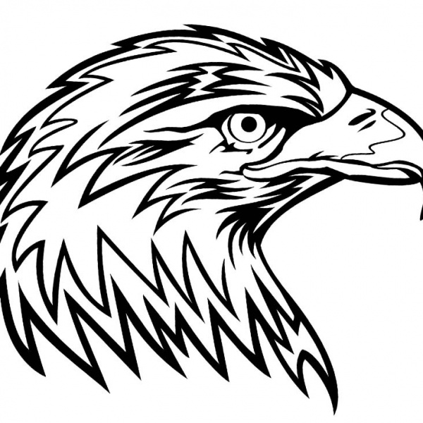 Soaring Eagle Coloring Pages Line Art - Free Printable Coloring Pages