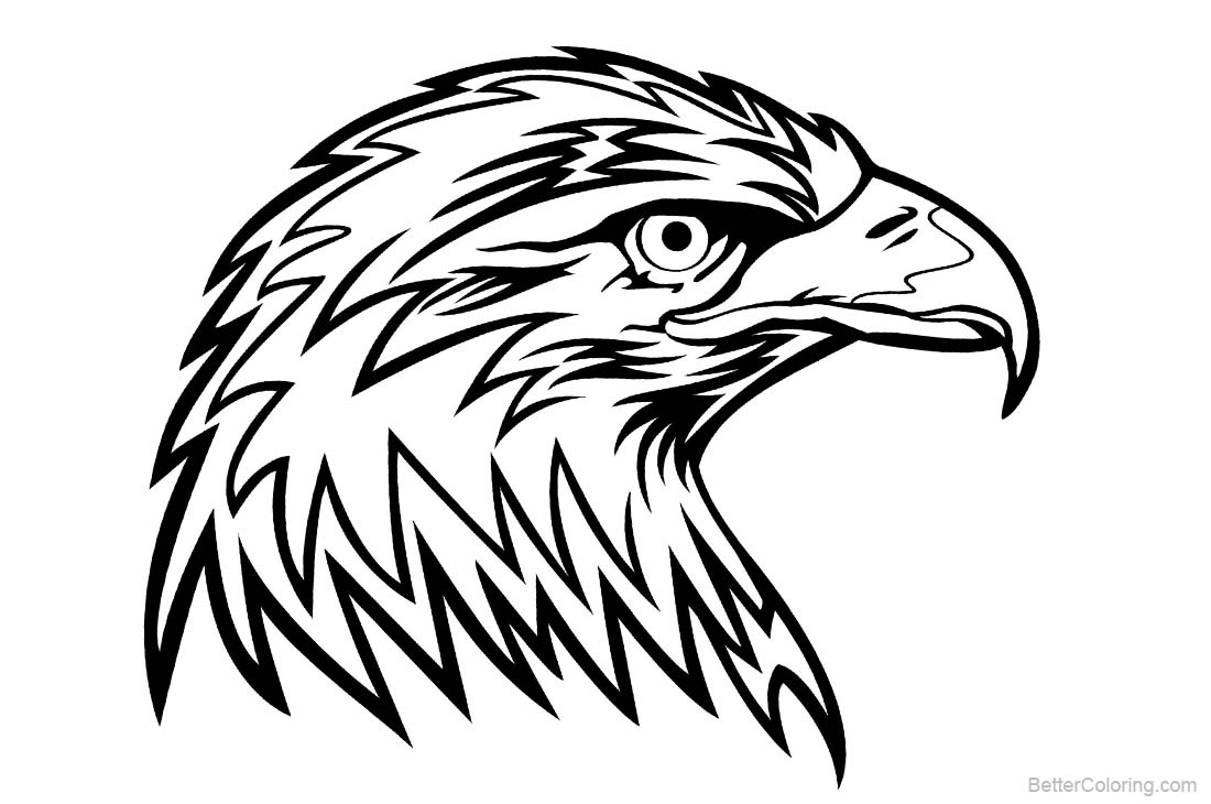 Eagle Coloring Pages Head - Free Printable Coloring Pages