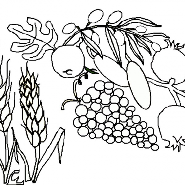 Shavuot Coloring Pages Holiday Clipart - Free Printable Coloring Pages