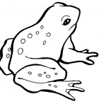 Frog Coloring Pages