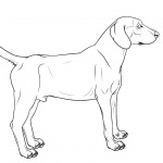 Hound Dog Coloring Pages