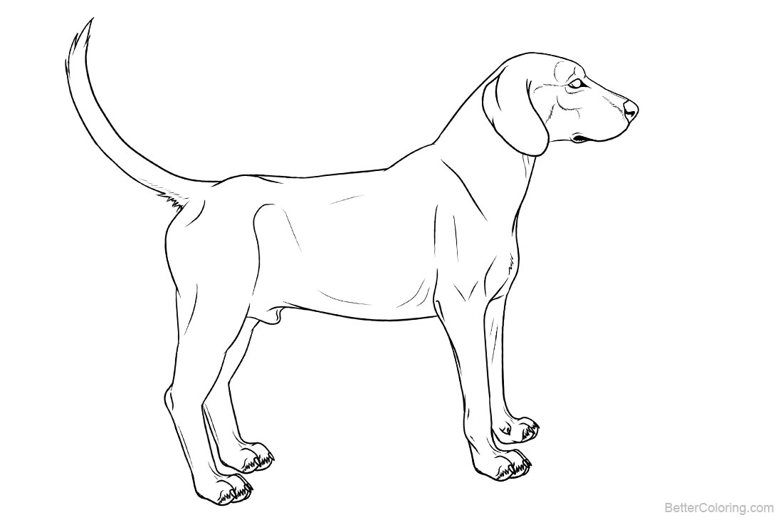 Download Hound Dog Coloring Pages - Free Printable Coloring Pages