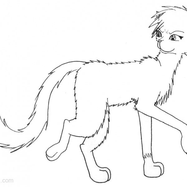 Warrior Cats Coloring Pages Two Cats Fighting Free Printable Coloring