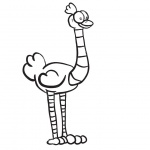 Ostrich Coloring Pages Cartoon Drawing