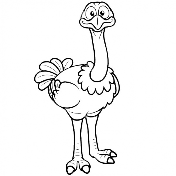 Cartoon Ostrich Coloring Pages - Free Printable Coloring Pages