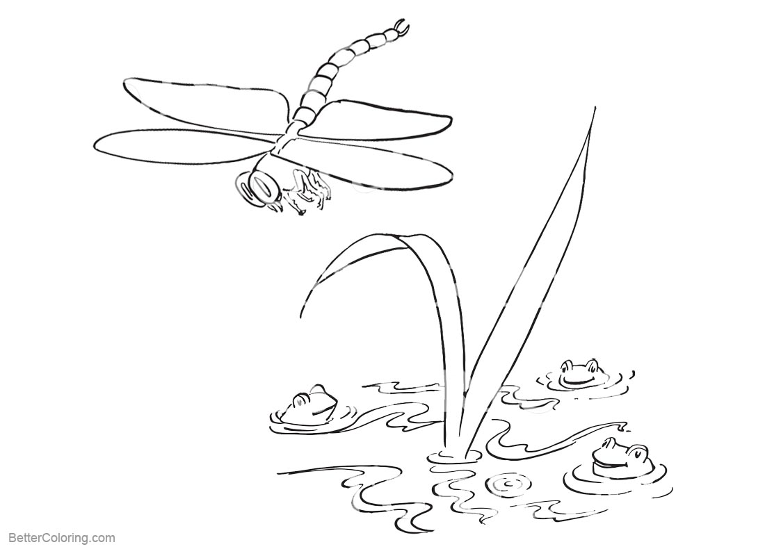 Pond Animal Coloring Pages printable for free