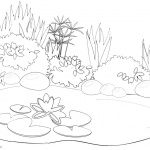 Pond Coloring Pages Black and White Drawing