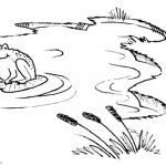 Pond Coloring Pages Cattails and Frog