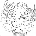 Pond Coloring Pages Connects the Dots by Number