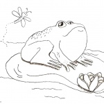 Pond Coloring Pages Cute Frog