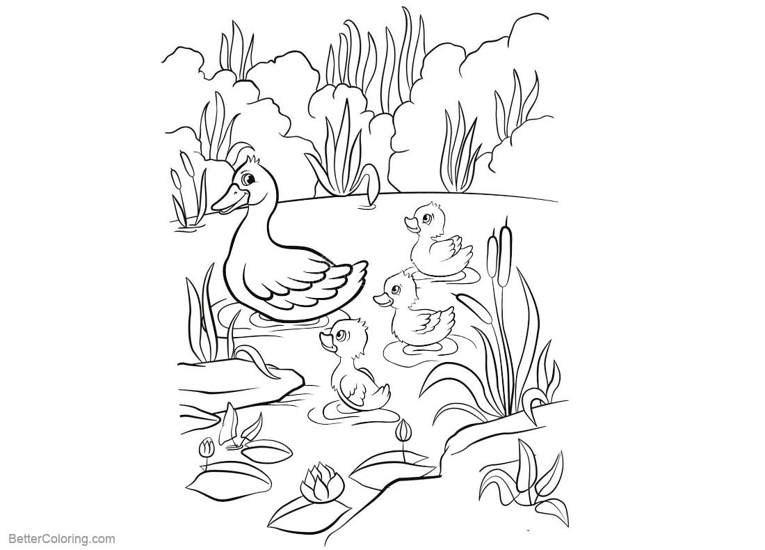 Download Pond Coloring Pages Ducklings - Free Printable Coloring Pages