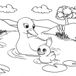 Pond Coloring Pages Ducks’ Life in the Pond