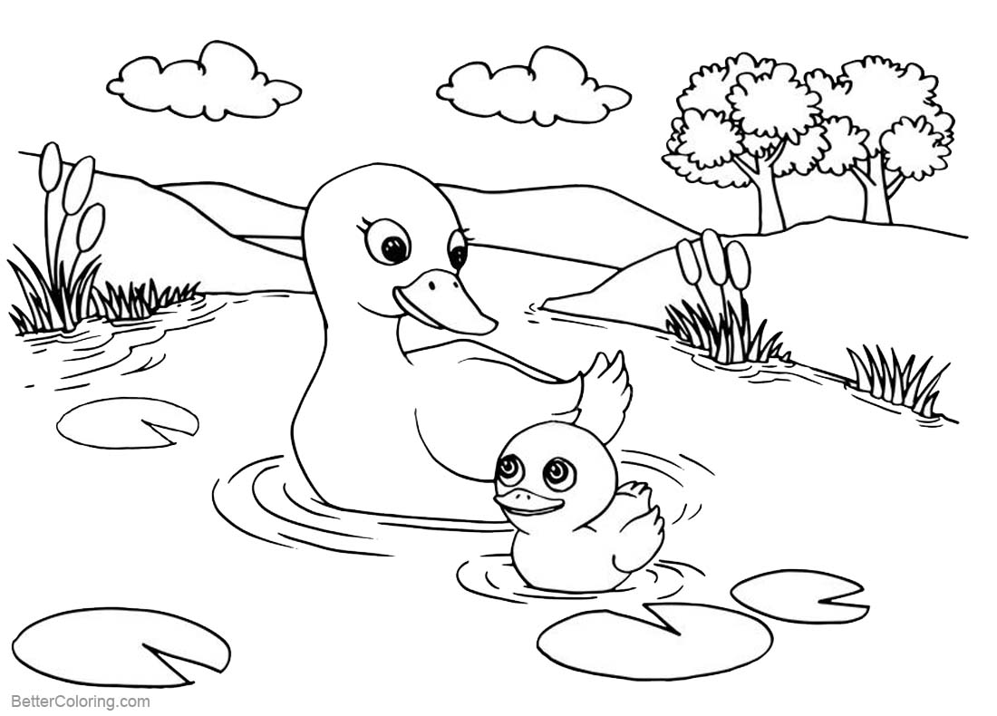 Download Pond Coloring Pages Ducks' Life in the Pond - Free Printable Coloring Pages