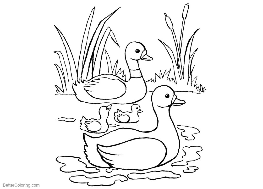 Download Pond Coloring Pages Ducks and Cattails - Free Printable ...