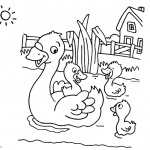 Pond Coloring Pages Four Ducks Swimming