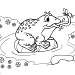 Pond Coloring Pages Frog Catching a Bug