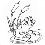 Pond Coloring Pages Frog Sit on the Water Lily