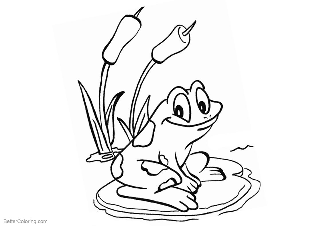 Pond Coloring Pages Frog Sit on the Water Lily printable for free