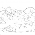 Pond Coloring Pages Happy Ducks Swimming