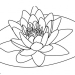 Pond Coloring Pages Lily Pad Flower