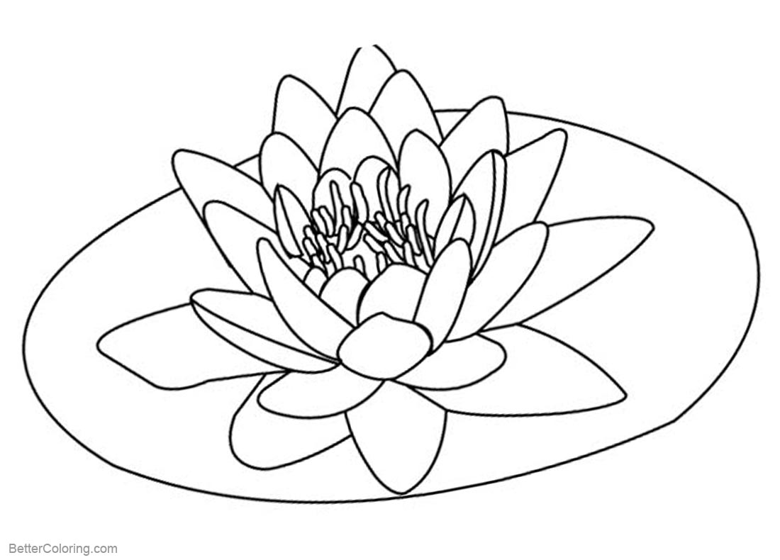Pond Coloring Pages Lily Pad Flower printable for free