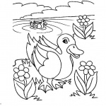 Pond Coloring Pages Line Art