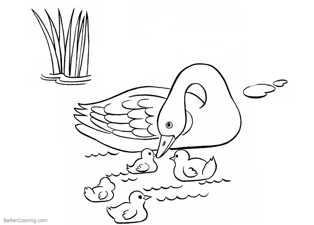 Pond Coloring Pages Line Drawing printable for free