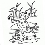 Pond Coloring Pages Lineart