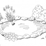 Pond Coloring Pages Sketch