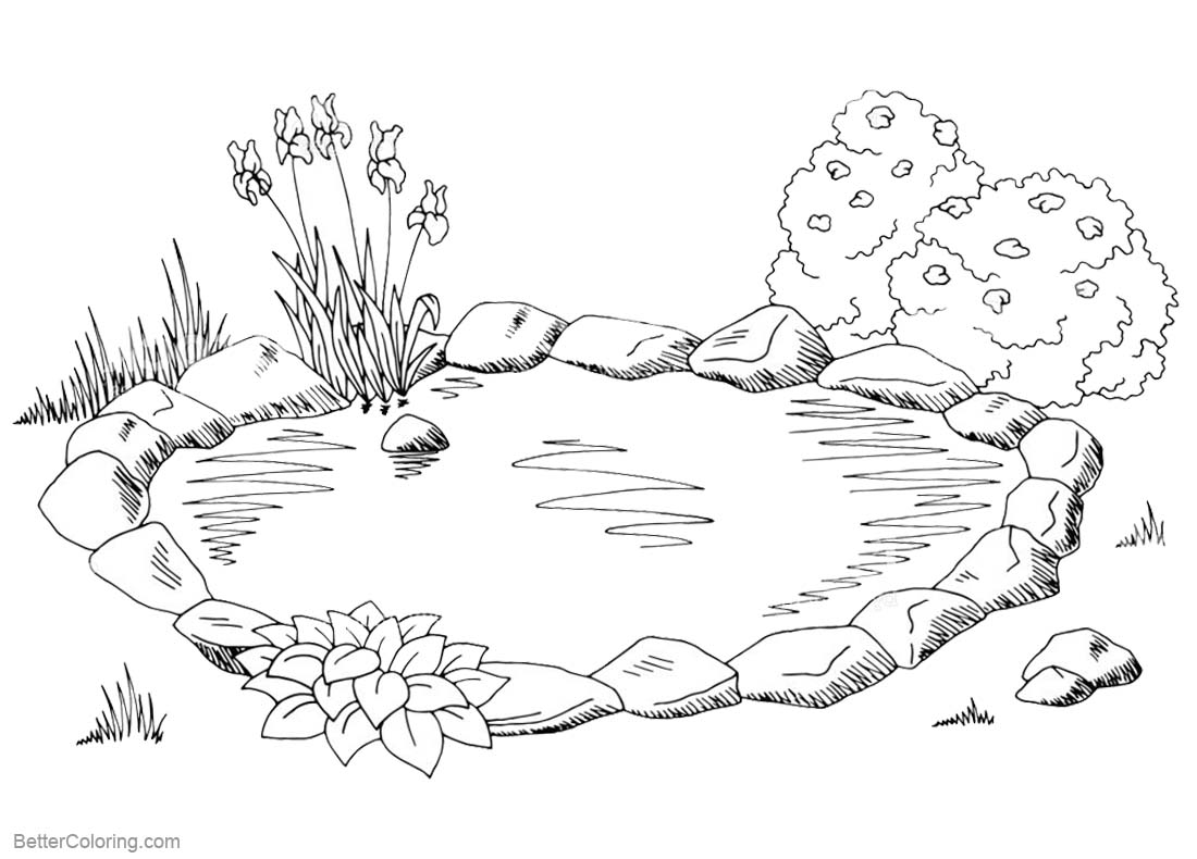 The Pond Coloring Pages Brengosfilmitali The Pond Coloring Pages Brengosfilmitali