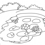 Pond Coloring Pages Small Pond with Water Lily Flowers