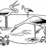 Pond Coloring Pages Storks and Frogs