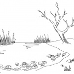 Pond Coloring Pages Tree Lily Pad and Cattails