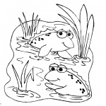 Pond Coloring Pages Two Frogs