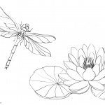 Pond Coloring Pages Water Lily and Dragonfly