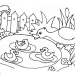 Pond Life Coloring Pages