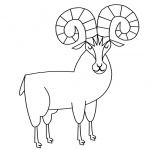 Rocky Mountain Animals Coloring Pages Goats