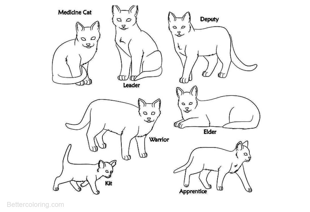 Free Seven Warrior Cats Coloring Pages printable