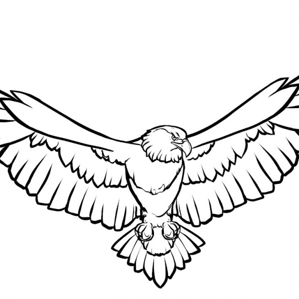 Eagle Coloring Pages Flying Eagle Lineart - Free Printable Coloring Pages
