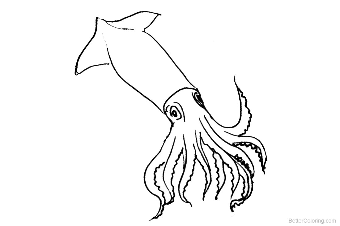 Squid Coloring Pages Clipart - Free Printable Coloring Pages