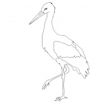 Stork Coloring Pages