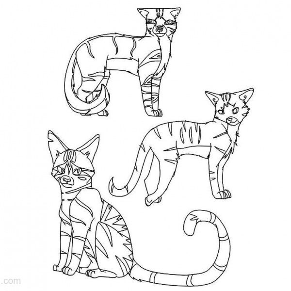 Warrior Cats Coloring Pages Two Cats Fighting Free Printable Coloring