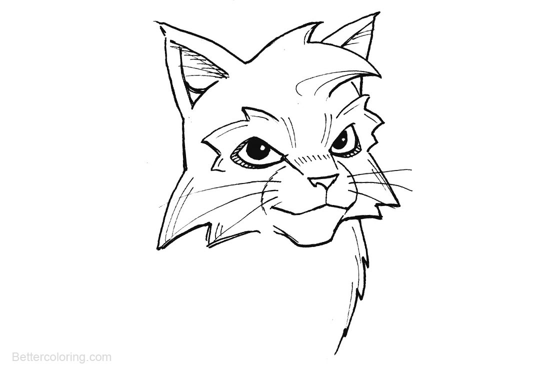 Free Warrior Cats Coloring Pages Head printable