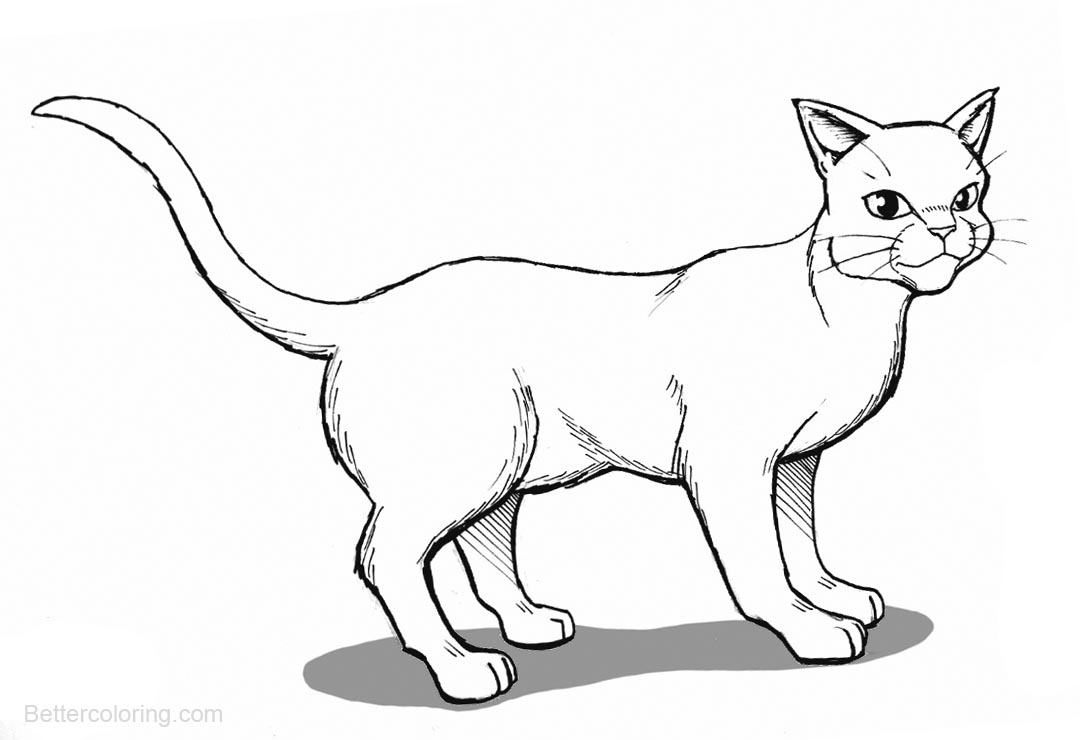 Download Warrior Cats Coloring Pages Official Drawing - Free Printable Coloring Pages