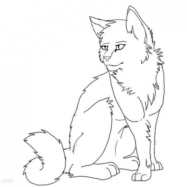 Warrior Cats Coloring Pages Big Tail Free Printable Coloring Pages