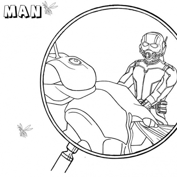 Ant Man Coloring Pages Line Drawing - Free Printable Coloring Pages